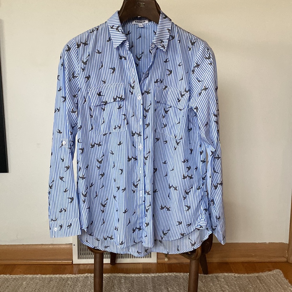 Express light blue stripe with birds